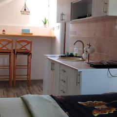 Apartman Boba Vrnjačka Banja