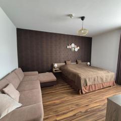 Manna Wellness Apartman Zalakaros