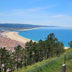 NAZARE La VAGUE