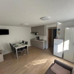 Apartma Melinc