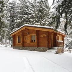 Chalet LES CLARINES