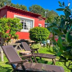 Casa con jardín a un minuto de la playa, Casa Nolo