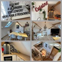 Magnifique loft 2-3 personnes tout confort