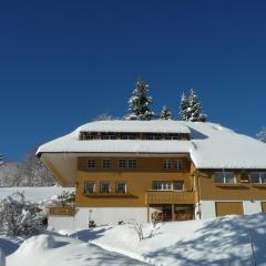 Berghof Almzeit - Fewo "Heuboden", Sauna , Todtnauberg, Feldberg