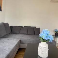 Luxury apartment with air conditioning & Jaccuzzi near Frankfurt Wiesbaden