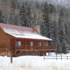 Artz Valley Cabin - WiFi - Satellite - Washer - Dryer - Wrap Around Deck - Wood Burning Fireplace - Secluded Setting