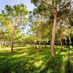 Agriturismo Bio San Mamiliano