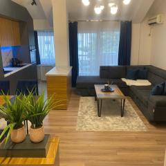 Luxury Apartment in Skopje Center,Old pazar