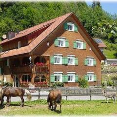 Hotel Gasthaus Schäfle