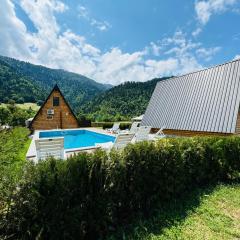 Eco cottage in Borjomi with pool 3