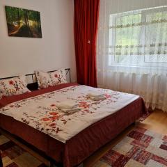 Apartament Doina