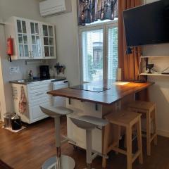 Remontoitu asunto vanhassa talossa - Renovated apartment at the heart of Turku