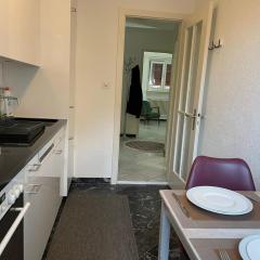 NEW Comfortable Basic 1 bedroom Apartment with sep Kitchen and Balcony