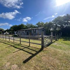 The Alpaca Cabin