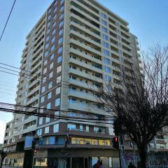 Departamento 1 Ambiente Edificio Centro Osorno