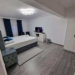 Apartament AlyMit Băile Herculane