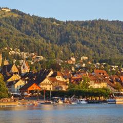 Cozy 1 room apartment in Zug