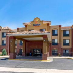 Comfort Suites Lakewood - Denver