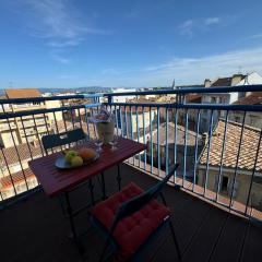 Appartement terrasse au coeur de Valence 54