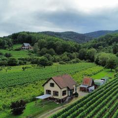 DANDELION Bed & Breakfast