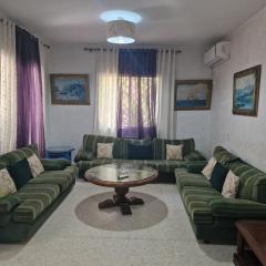 Super Villa Manar 1