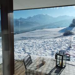 Rez de chaussée très calme vue Mont-Blanc