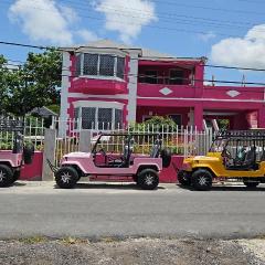 Da Pink And White Palace