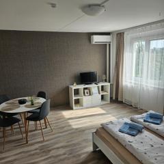 LIZO 1 apartman