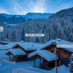 Chalet Hauts Forts Prodains Lift Mountain Voyages