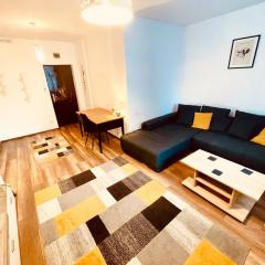 Cluj City Vivo Apartament Ametist