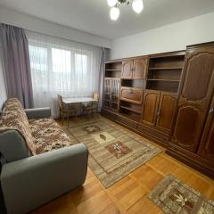 Apartament, very quiet and green area, 30 minutes from UNTOLD, FREE PARKING