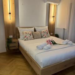 Viktor Lux Apartmani 4