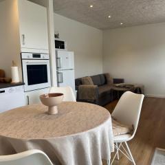 Apartment for 4 in the heart of Billund