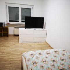 Daimler near Business or Family Apartment fully furnished