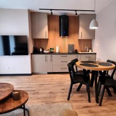 Apartamenty przy Tężni