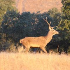 Monte Barata WildLife Tourism