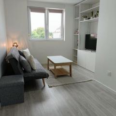 Appartement entier F3 rénové - Petite pause à Sélestat