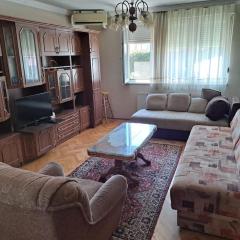 Apartman u centru Leskovca