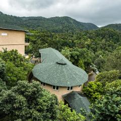 The Violet Thekkady