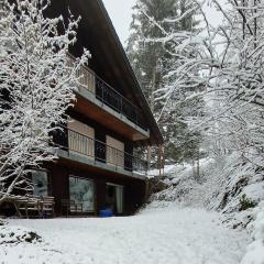 Ferienwohnung in Schönwald Schwarzwald