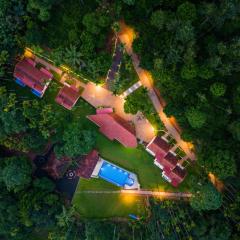 Theyila Wayanad Premium Pool Resort