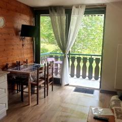 Appartement pour 4 personnes au pied des pistes