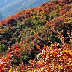 Time Traveller Boutique Hotel - Near Peking Man Site at Zhoukoudian, University of Chinese Academy of Social Sciences, Shidu Scenic Spots, Free ice cream, mineral water, coffee, snacks and laundry service, Free gymnastic, English communication well