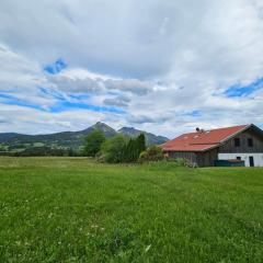 Ferienhaus Faistenau