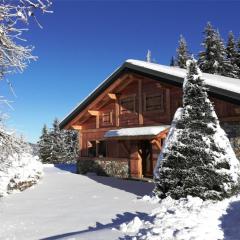 Chalet Lou Pennots - skis au pieds