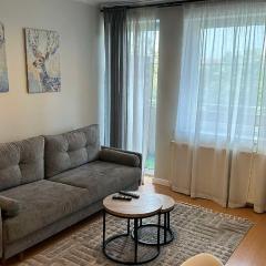 Apartament Katedralny