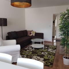 Cozy 2br apartment close to city center - Kotimaailma