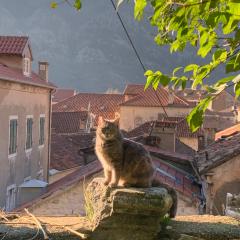 Charming rooftop view