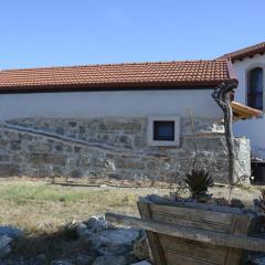 Casa da Lima - Nestled in Nature on Santiago's and Fatima's Path, Close to Coimbra and Rabacal