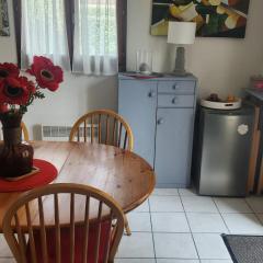 House with garden and barbecue in Cabourg